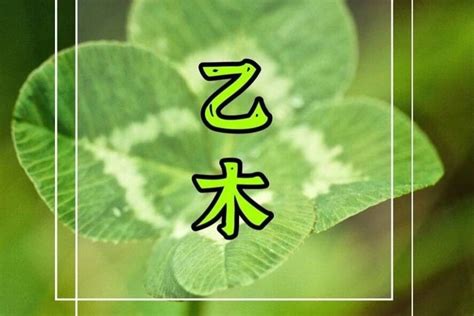 乙木日主|易学命理真的很容易——乙木日主的特点